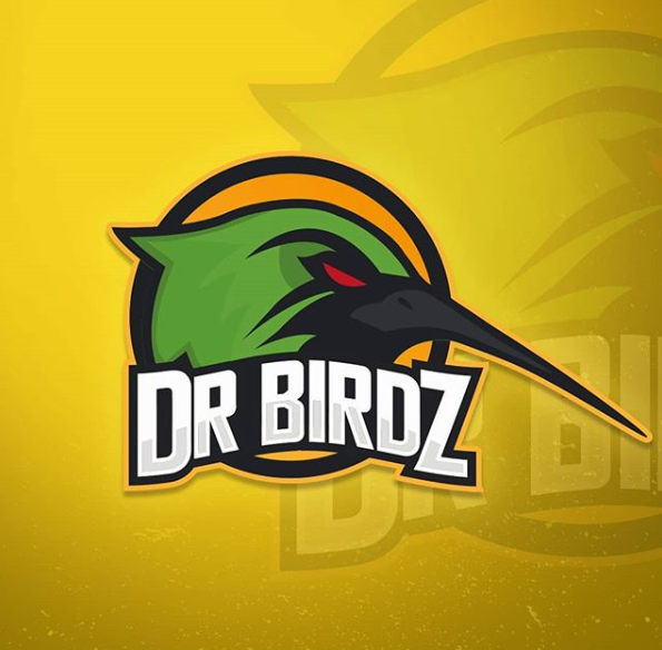 Dr Birdz